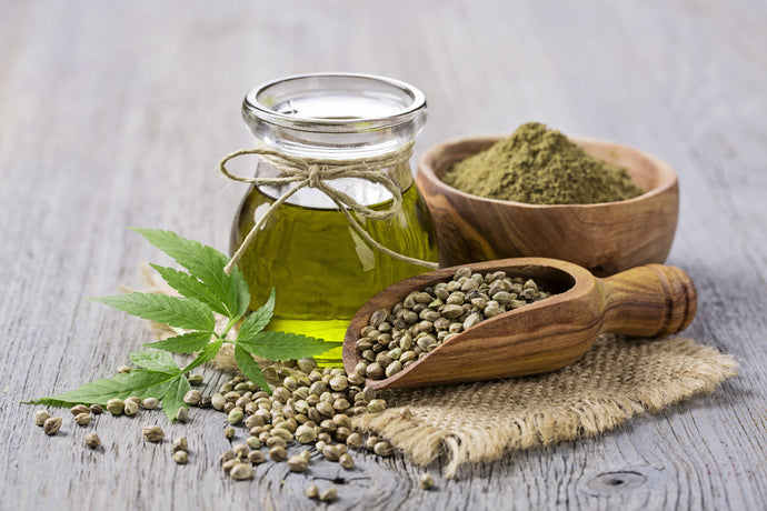 5 Ways to Get Even Stubborn Dogs to Take a Dose of Hemp Extract Oil